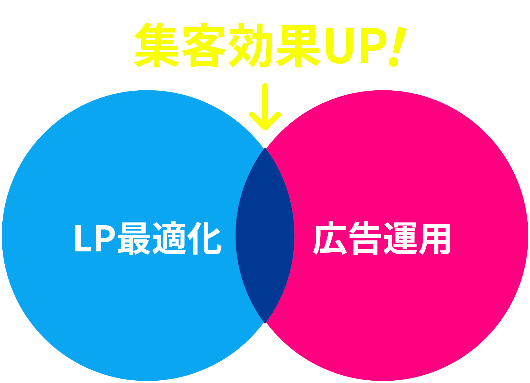 LPOと広告運用で集客効果UP